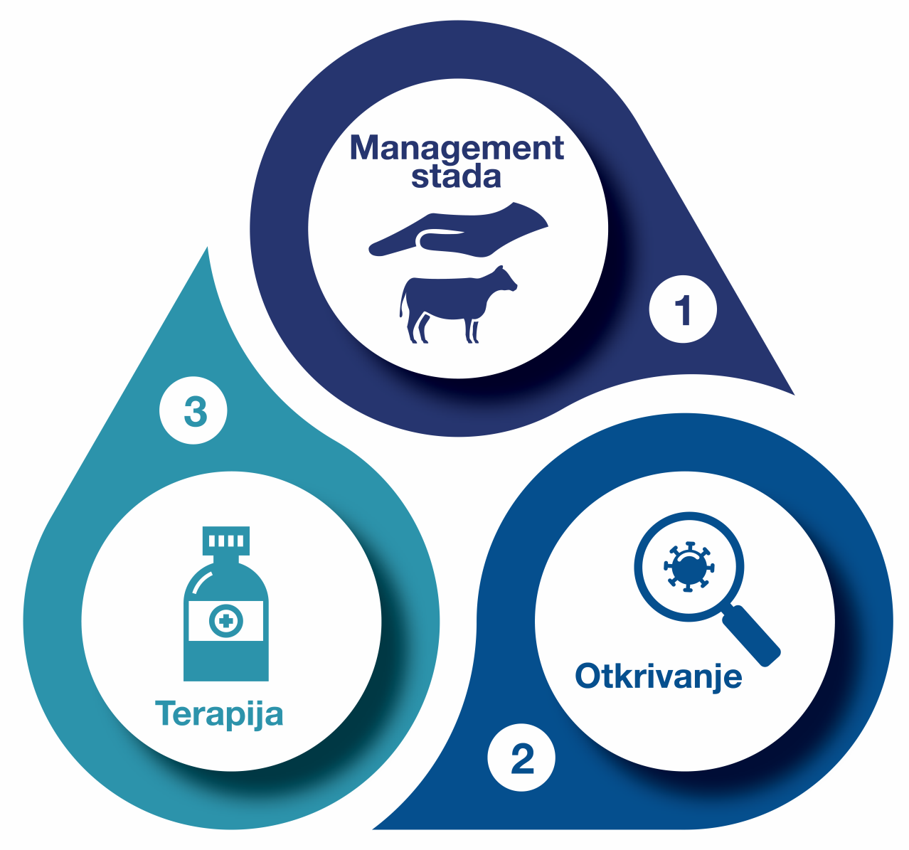 Mastitis kod krava Pristup u 3 koraka za liječenje mastitisa kod krava