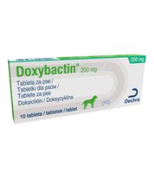 Doxybactin, 200 mg, tableta, za pse