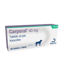 Carporal 40 mg tablets for dogs